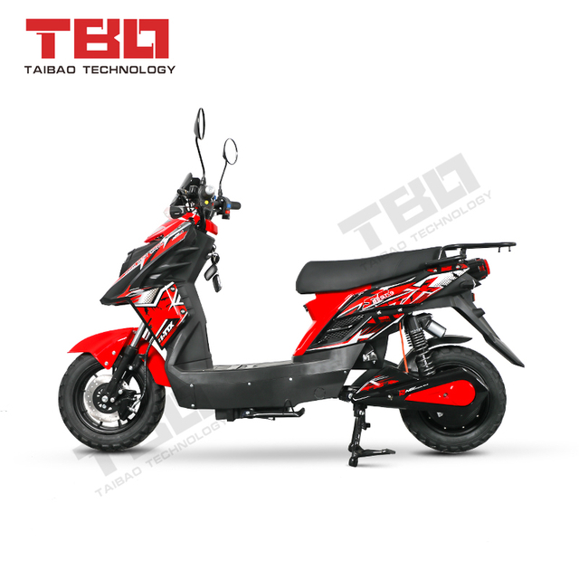 Electric Motor Motorcycle Dirt Bike Electric for Adult Made in China 