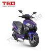 2024 Hot Sell Adult Brushless Motor Adult Electric Motorcycle